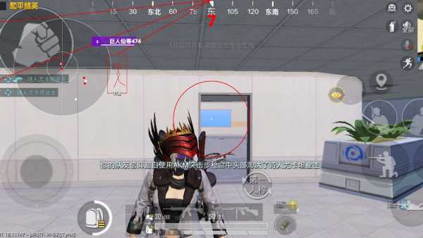 和平精英辅助【神女】